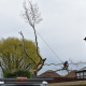 Tree Removal Ormskirk
